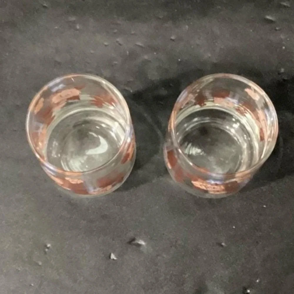 Libbey Floral Juice Glasses, Set of 2,‎ Vintage Orange Flowers Design Drinkware